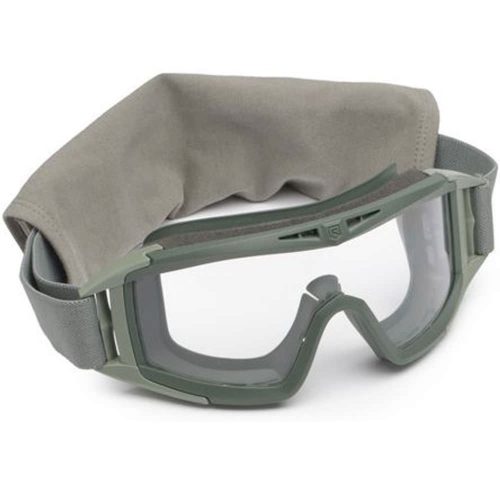 Comprendre le criquet pèlerin : un guide complet - Wild Explained